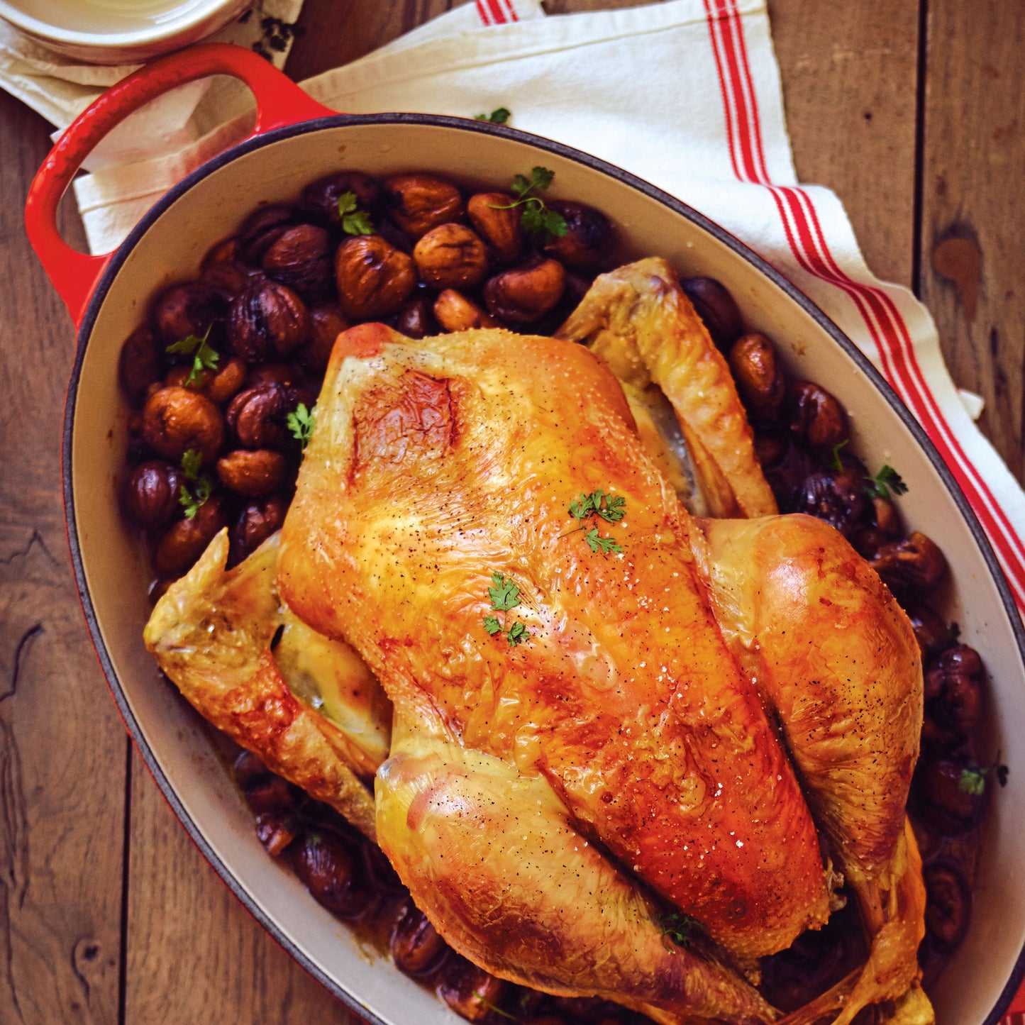 Signature Cast Iron 9.5-quart Cerise Oval Dutch Oven