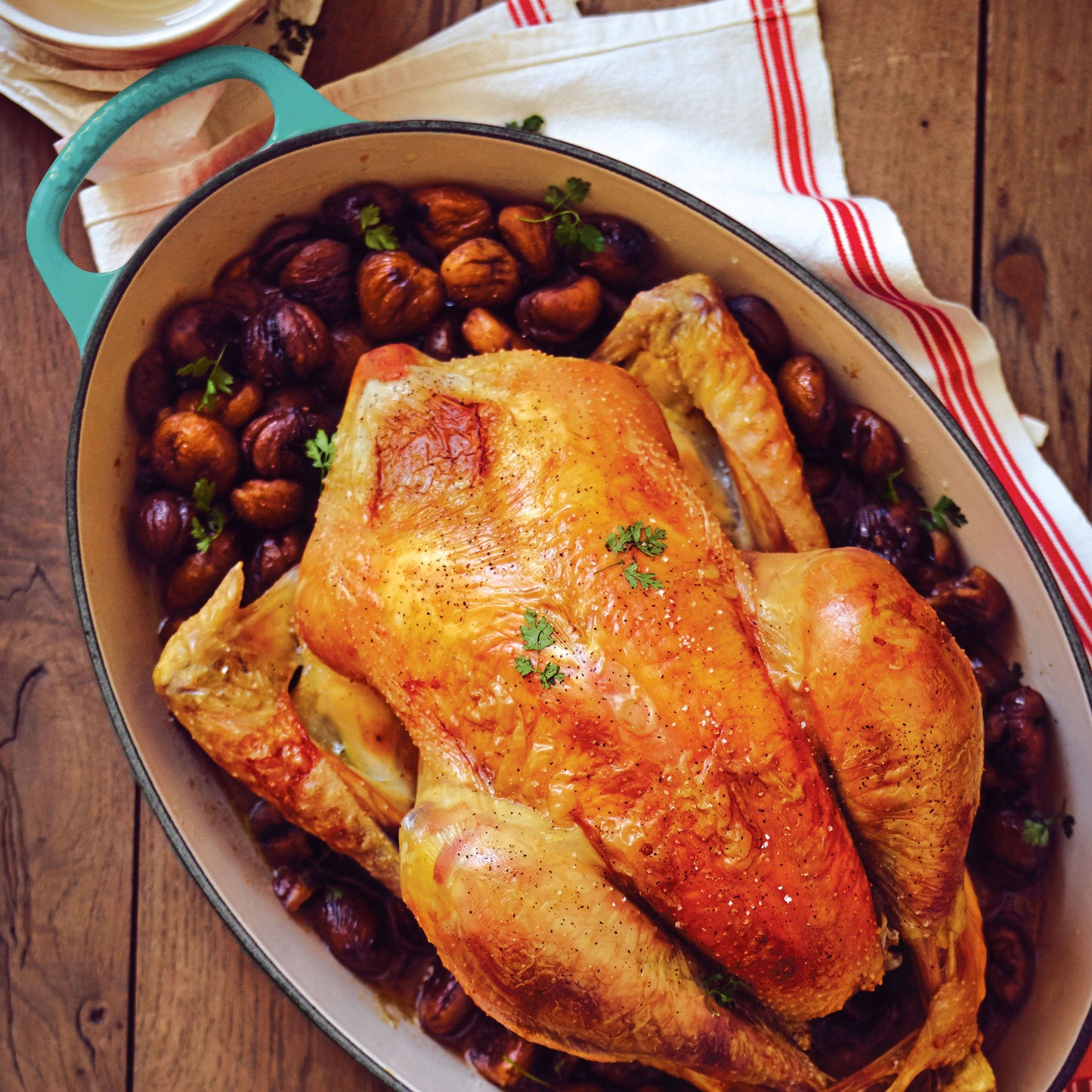 Signature Cast Iron 5-quart Caribbean Oval Dutch Oven