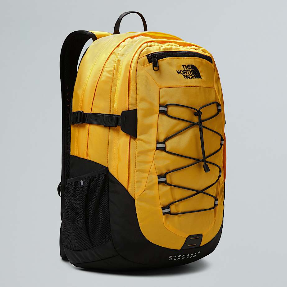 Borealis Classic Backpack